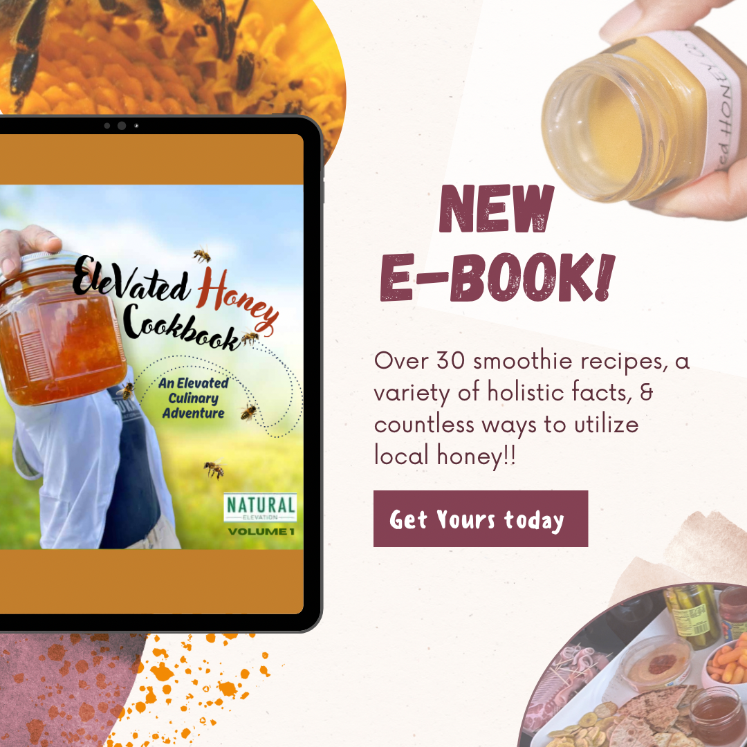 ‘ELEVATED Honey Cookbook’ An ELEVATED Culinary Adventure: Vol 1