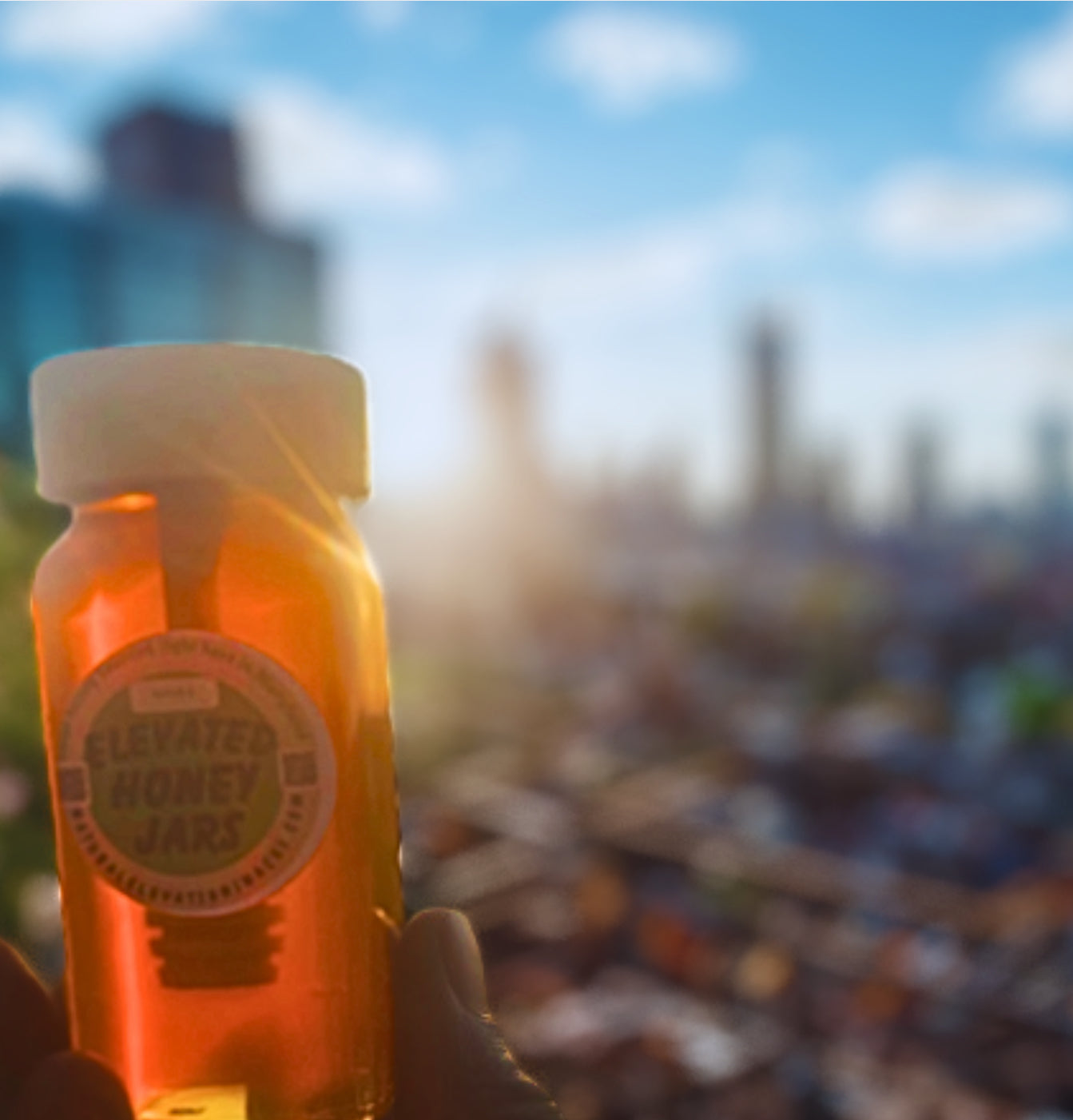 ELEVATED Honey Jar