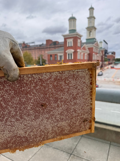 EHCO Honey (Local Raw Honey)