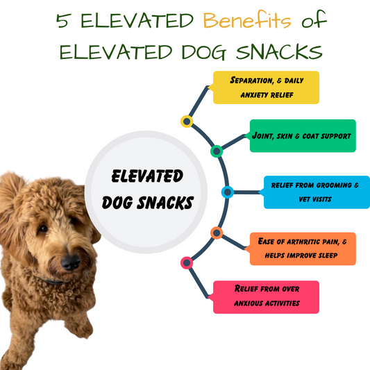 ELEVATED DOG Snacks